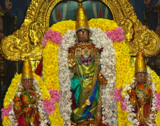 Kanchi Sri Devaperumal Karthikai Ammavasai Purappadu 2014-24