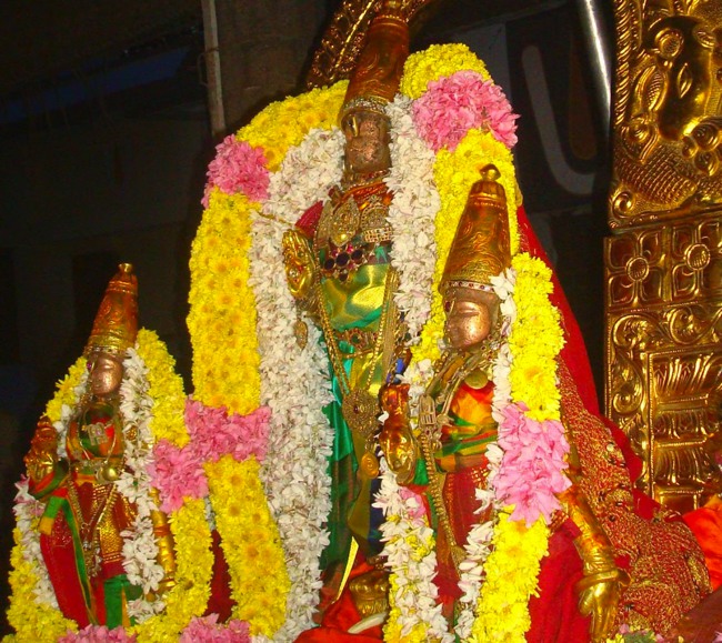 Kanchi Sri Devaperumal Karthikai Ammavasai Purappadu 2014-30