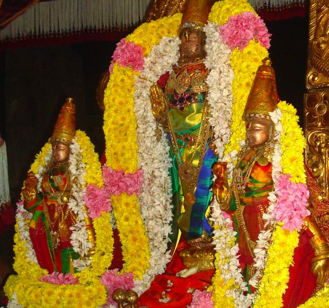 Kanchi Sri Devaperumal Karthikai Ammavasai Purappadu 2014-35