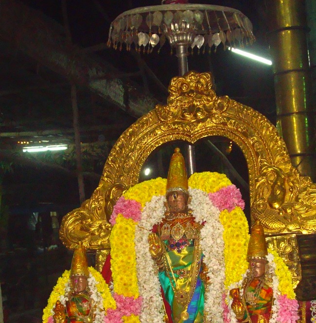 Kanchi Sri Devaperumal Karthikai Ammavasai Purappadu 2014-39