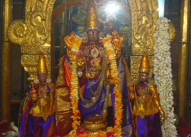 Kanchi Sri Devaperumal Karthikai Maasa Krishna Ekadasi Purappadu 2014-03