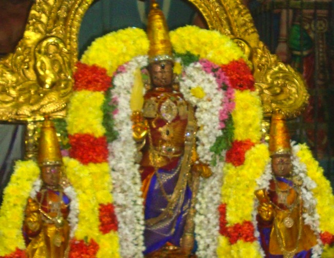 Kanchi Sri Devaperumal Karthikai Maasa Krishna Ekadasi Purappadu 2014-06