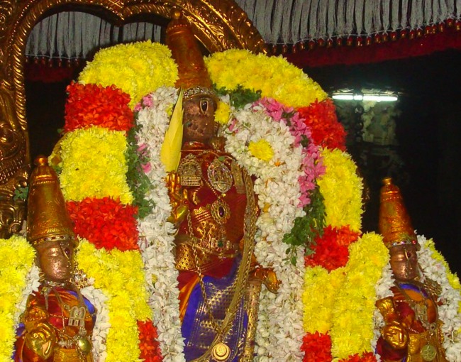 Kanchi Sri Devaperumal Karthikai Maasa Krishna Ekadasi Purappadu 2014-21
