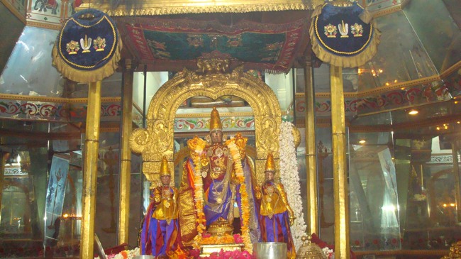 Kanchi Sri Devaperumal Karthikai Maasa Krishna Ekadasi Purappadu 2014-32
