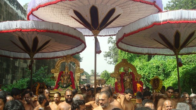 Kanchi Sri Devapperumal Temple Thatha Desikan Thirunakshatra UTsavam-201422