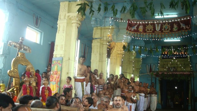 Kanchi Sri Devapperumal Temple Thatha Desikan Thirunakshatra UTsavam-201433