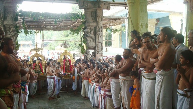 Kanchi Sri Devapperumal Temple Thatha Desikan Thirunakshatra UTsavam-201434