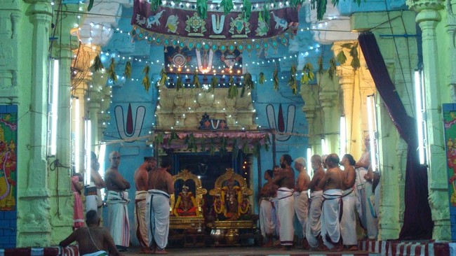 Kanchi Sri Devapperumal Temple Thatha Desikan Thirunakshatra UTsavam-201442