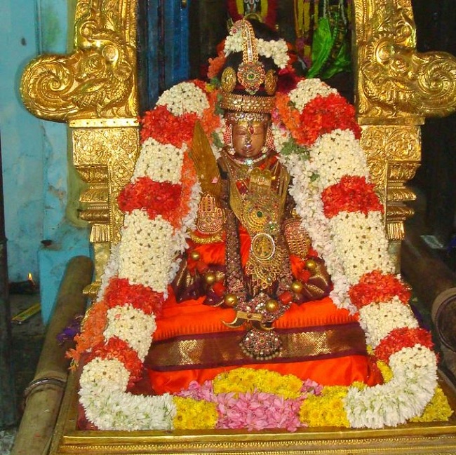 Kanchi Sri Devapperumal Temple Thatha Desikan Thirunakshatra UTsavam evening purappadu-201406