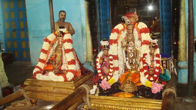 Kanchi Sri Devapperumal Temple Thatha Desikan Thirunakshatra UTsavam evening purappadu-201428