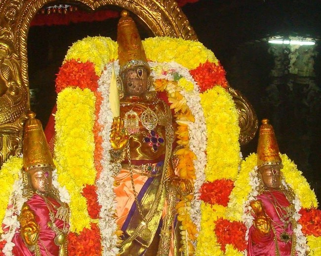 Kanchi Sri Devarajasswami temple Karthikai Masa pirappu purappadu  2014 15