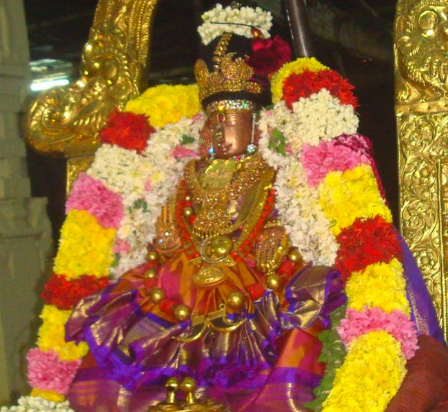 Kanchi Sri Perundhevi Thayar Kadai Thula sukravara Utsavam 2014-07