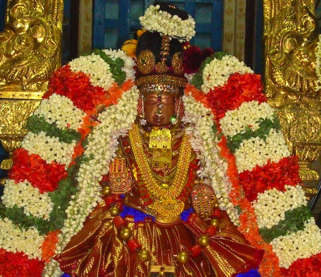 Kanchi Sri Perundhevi Thayar jaya Vrichuka Sukravara Purappadu 2014-01