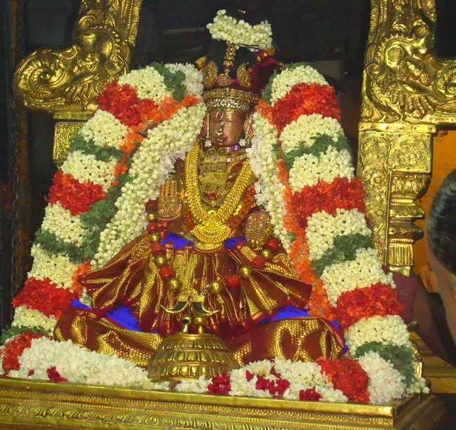 Kanchi Sri Perundhevi Thayar jaya Vrichuka Sukravara Purappadu 2014-16