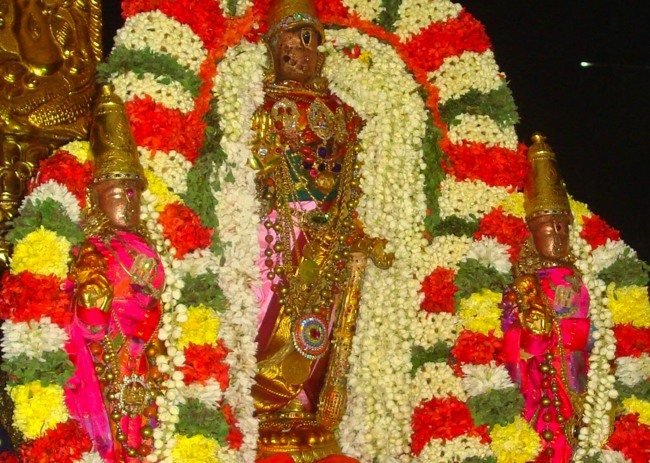 Kanchi Sri Varadarajaswami Temple Aippasi Pournami Purappadu 2014-12