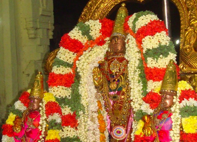 Kanchi Sri Varadarajaswami Temple Aippasi Pournami Purappadu 2014-15