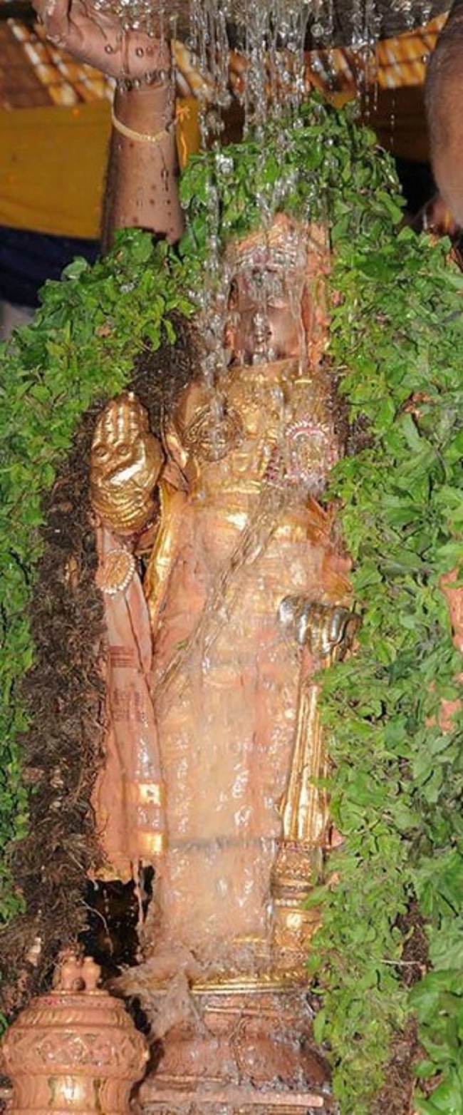Lower Ahobilam Sri Lakshmi Narasimha Swami Temple Vanabhojana Utsavam32