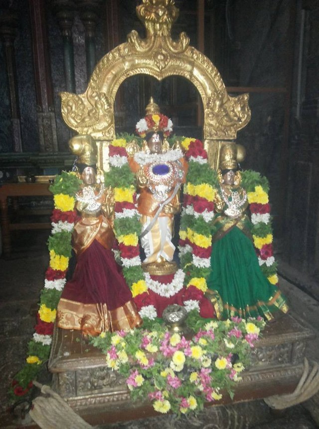 Madurai Thirukoodal Azhagar Unjal Utsavam 2014 05