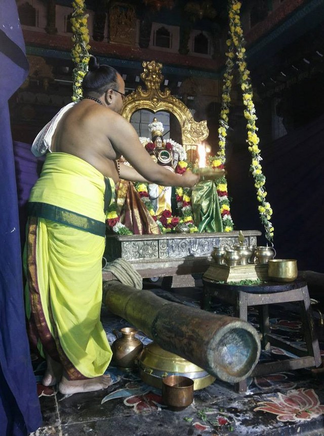 Madurai Thirukoodal Azhagar Unjal Utsavam 2014 07