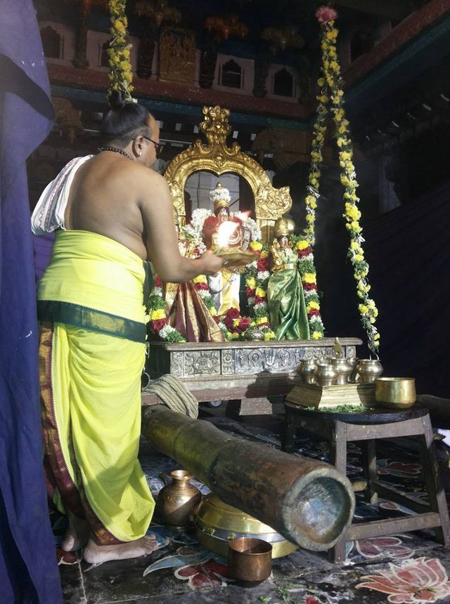 Madurai Thirukoodal Azhagar Unjal Utsavam 2014 09
