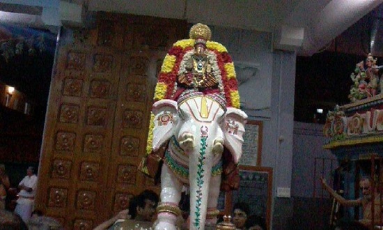 Mylapore SVDD Sri Alarmelmangai Thayar Panchami Theertha Utsavam 3