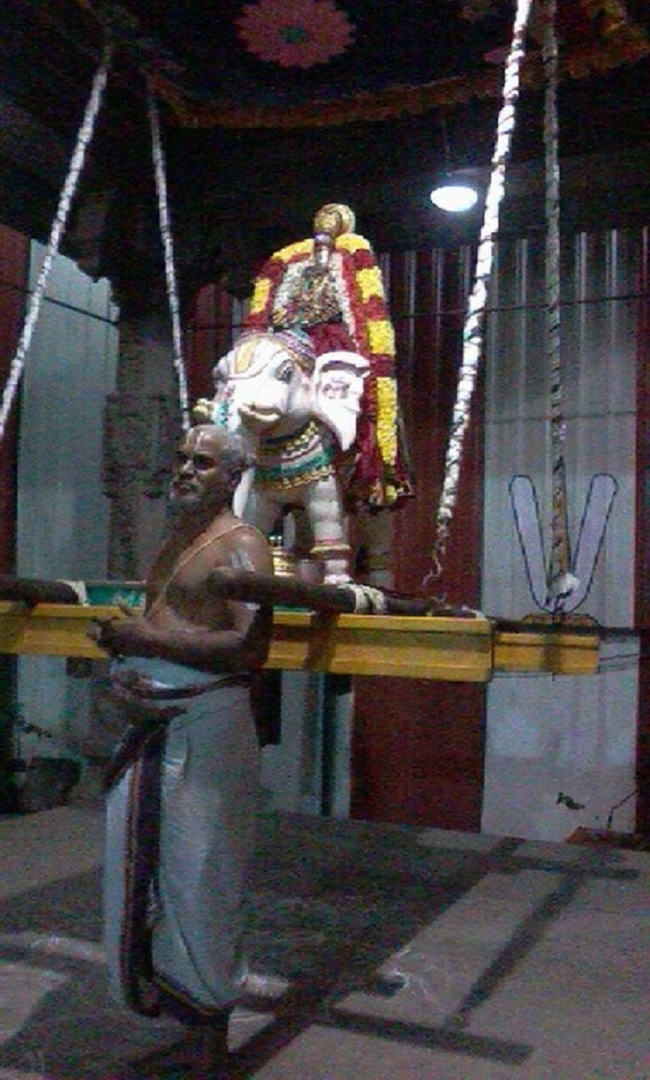 Mylapore SVDD Sri Alarmelmangai Thayar Panchami Theertha Utsavam 5