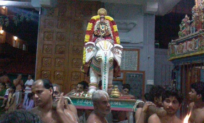 Mylapore SVDD Sri Alarmelmangai Thayar Panchami Theertha Utsavam 6