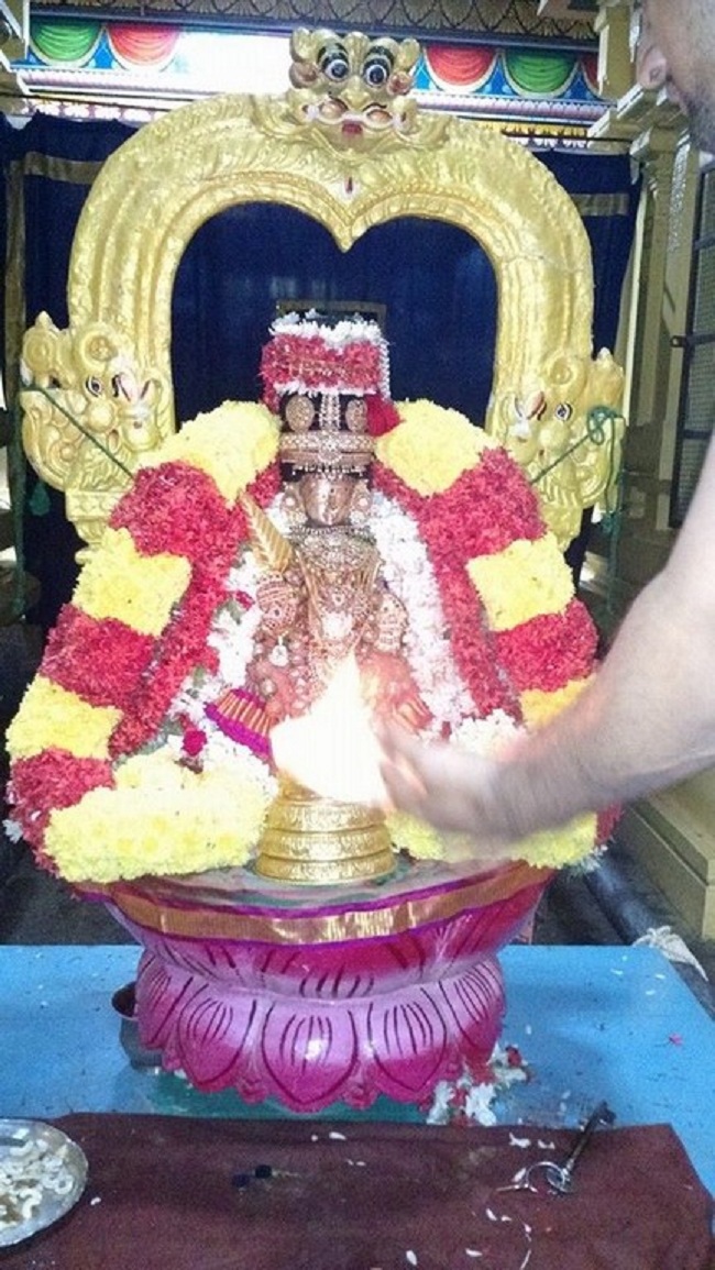 Mylapore SVDD Sri Alarmelmangai Thayar Panchami Theertha Utsavam Commences2