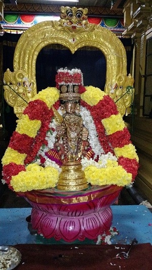 Mylapore SVDD Sri Alarmelmangai Thayar Panchami Theertha Utsavam Commences5