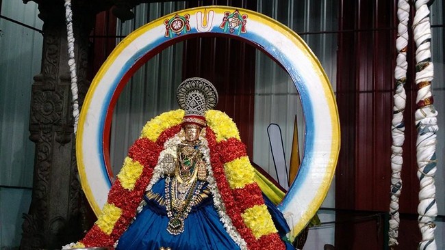 Mylapore SVDD Sri Alarmelmangai Thayar Panchami Theertha Utsavam1