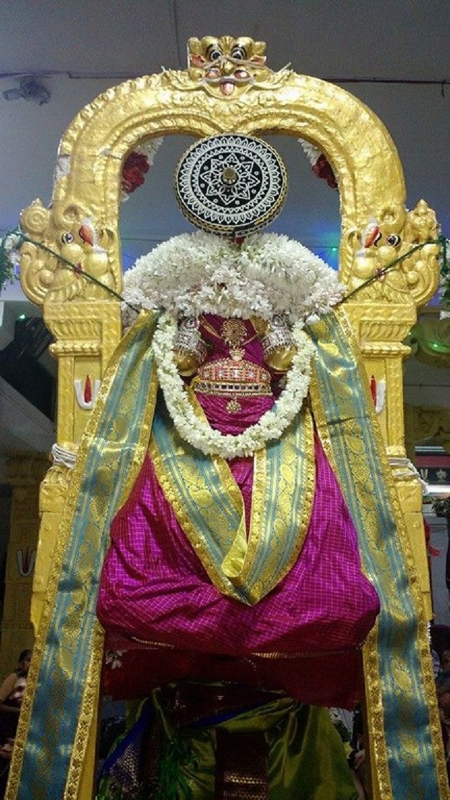 Mylapore SVDD Sri Alarmelmangai Thayar Panchami Theertha Utsavam3