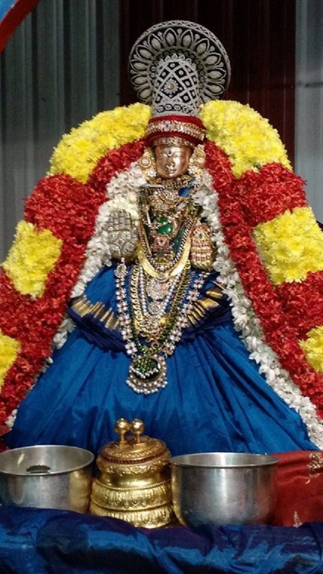 Mylapore SVDD Sri Alarmelmangai Thayar Panchami Theertha Utsavam4