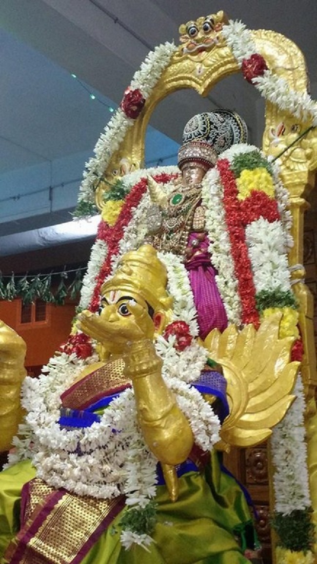 Mylapore SVDD Sri Alarmelmangai Thayar Panchami Theertha Utsavam5
