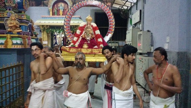 Mylapore SVDD Sri Alarmelmangai Thayar Panchami Theertha Utsavam6