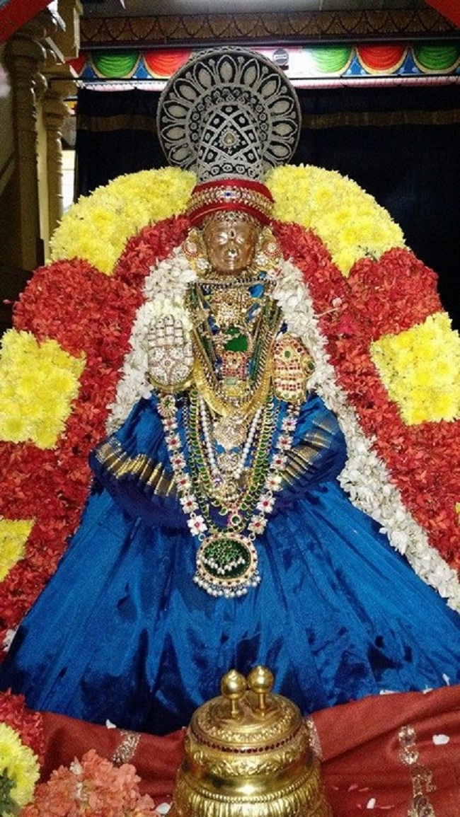 Mylapore SVDD Sri Alarmelmangai Thayar Panchami Theertha Utsavam6