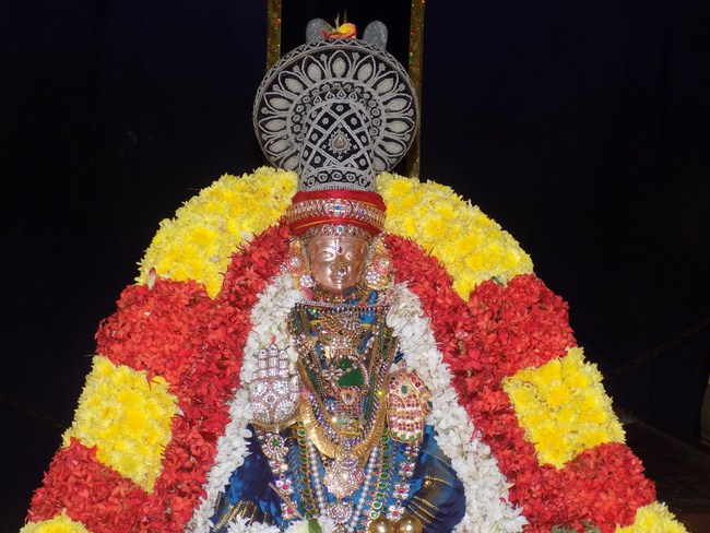 Mylapore SVDD Sri Alarmelmangai Thayar Panchami Theertha Utsavam9