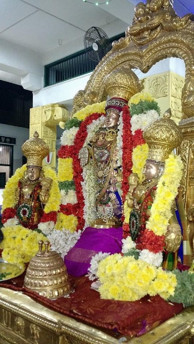 Mylapore SVDD Srinivasa Perumal Temple Bhoodathazhwar Thirunakshtra Utsavam1