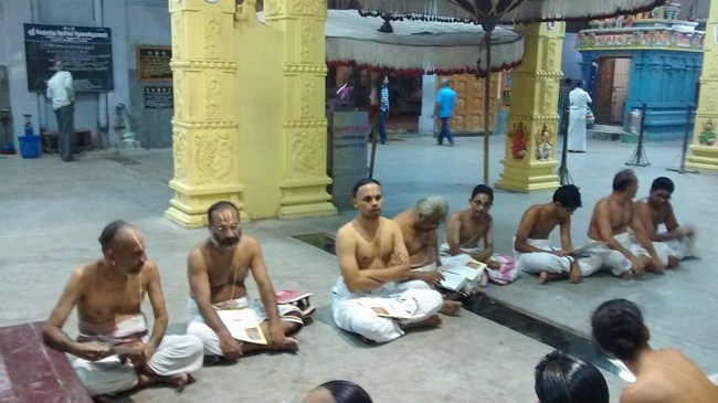 Mylapore SVDD Srinivasa Perumal Temple Bhoodathazhwar Thirunakshtra Utsavam11