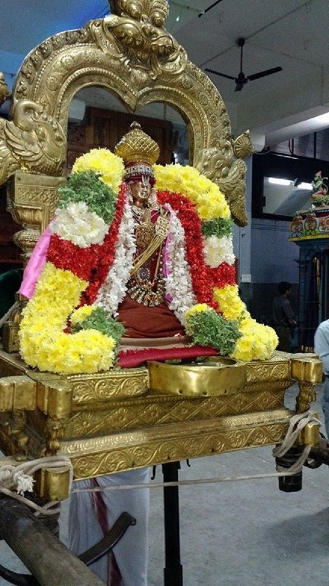 Mylapore SVDD Srinivasa Perumal Temple Bhoodathazhwar Thirunakshtra Utsavam12