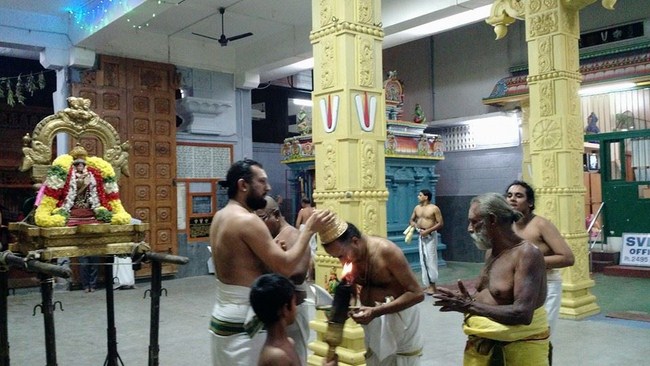 Mylapore SVDD Srinivasa Perumal Temple Bhoodathazhwar Thirunakshtra Utsavam15