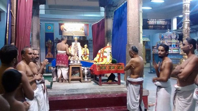 Mylapore SVDD Srinivasa Perumal Temple Bhoodathazhwar Thirunakshtra Utsavam20