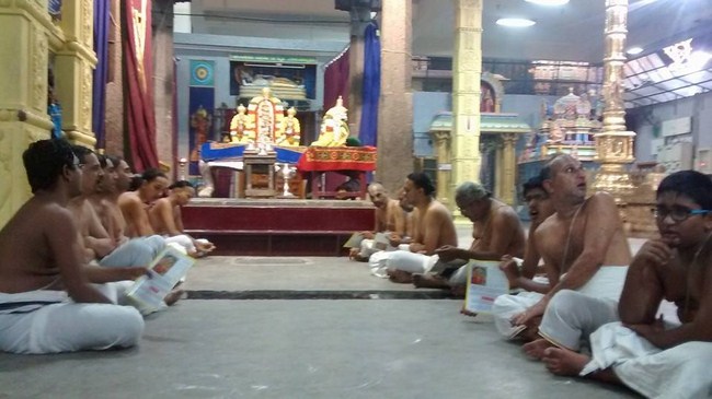 Mylapore SVDD Srinivasa Perumal Temple Bhoodathazhwar Thirunakshtra Utsavam22