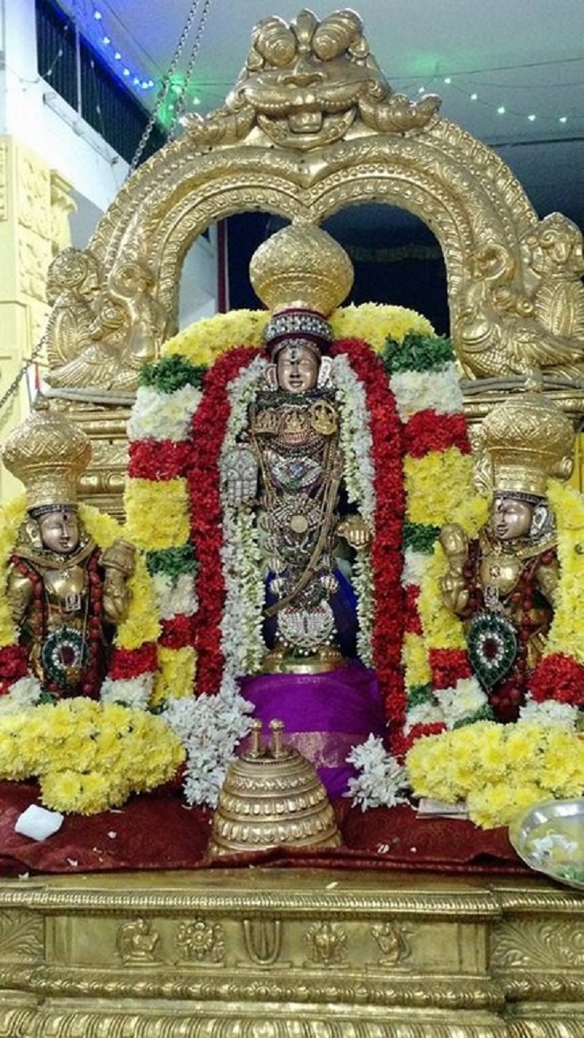 Mylapore SVDD Srinivasa Perumal Temple Bhoodathazhwar Thirunakshtra Utsavam3