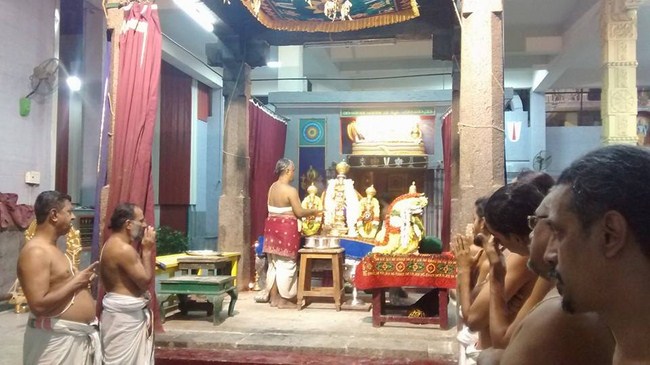 Mylapore SVDD Srinivasa Perumal Temple Bhoodathazhwar Thirunakshtra Utsavam5