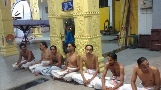 Mylapore SVDD Srinivasa Perumal Temple Bhoodathazhwar Thirunakshtra Utsavam6