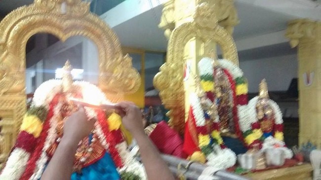 Mylapore SVDD Srinivasa Perumal Temple Ekadasi Purappadu1
