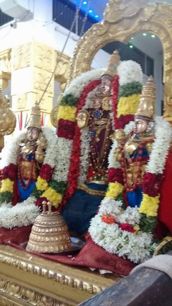 Mylapore SVDD Srinivasa Perumal Temple Ekadasi Purappadu13