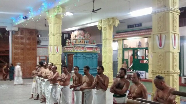 Mylapore SVDD Srinivasa Perumal Temple Ekadasi Purappadu16