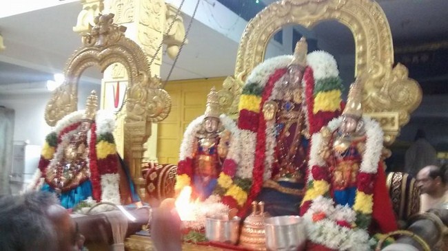 Mylapore SVDD Srinivasa Perumal Temple Ekadasi Purappadu17