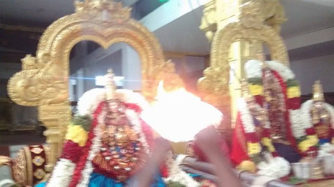 Mylapore SVDD Srinivasa Perumal Temple Ekadasi Purappadu2